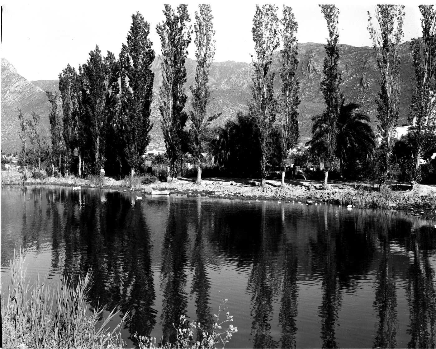 The Leidam 1960