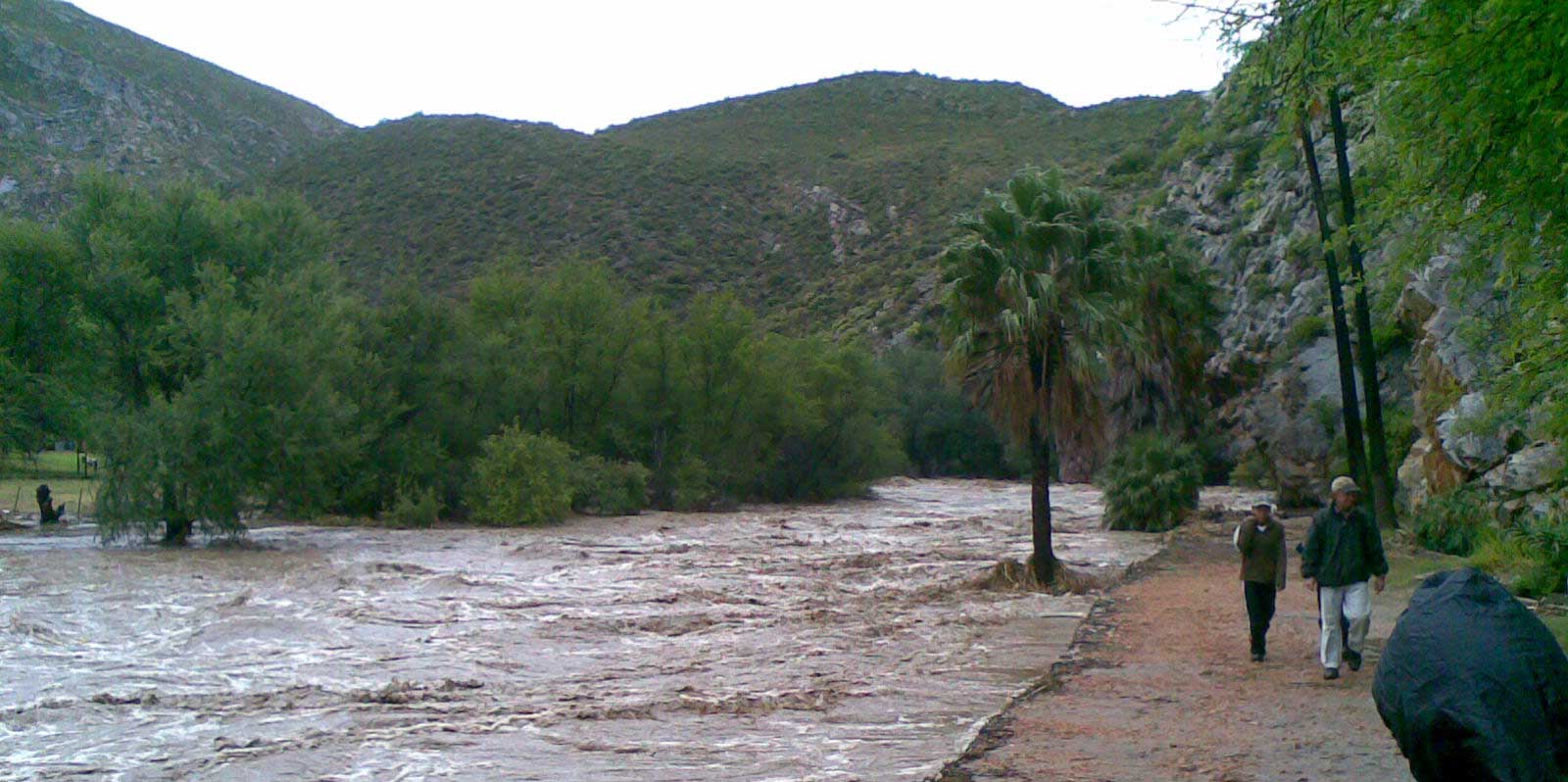 2008 flood Montagu hanging bridge