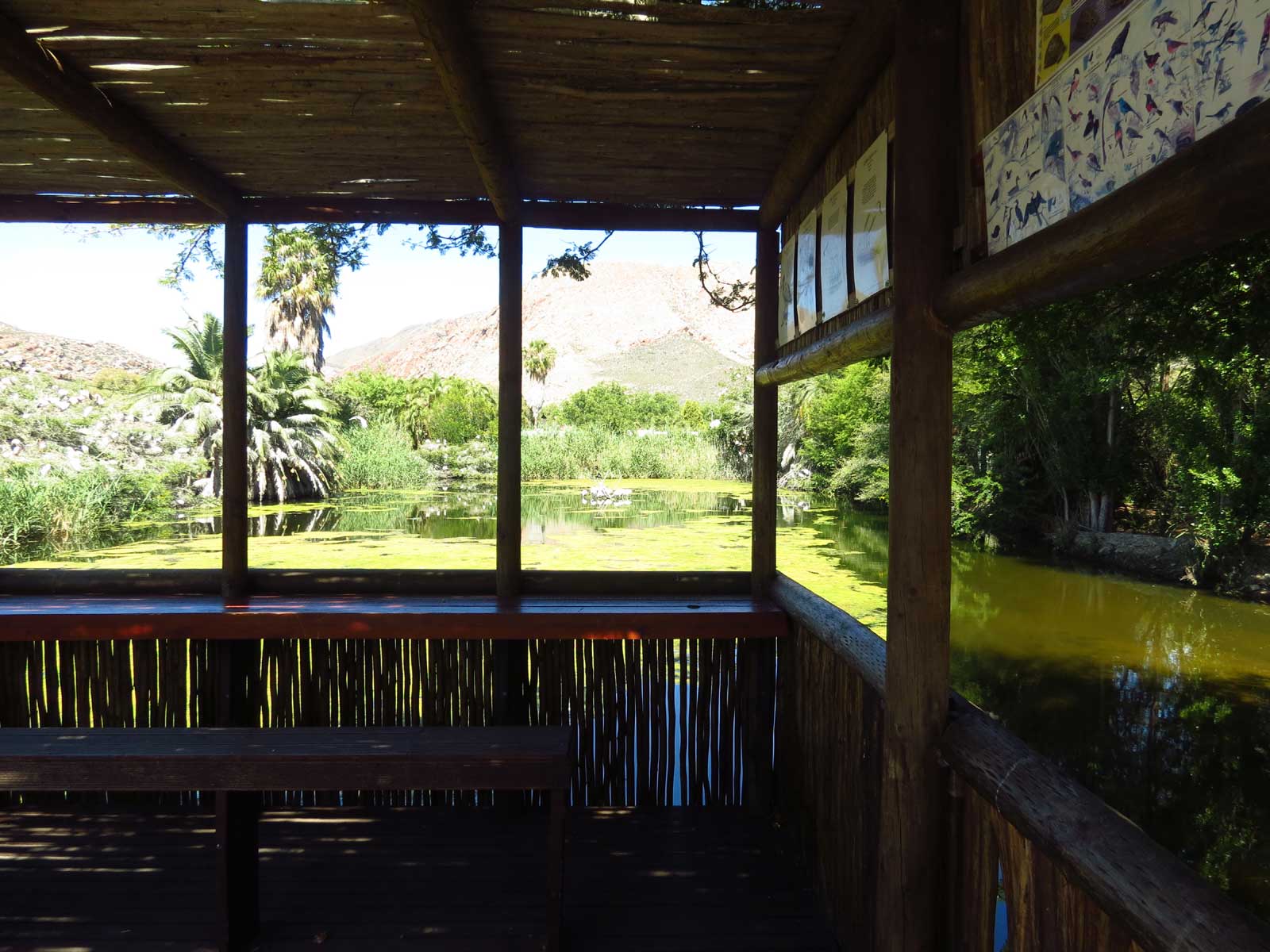 Leidam bird hide