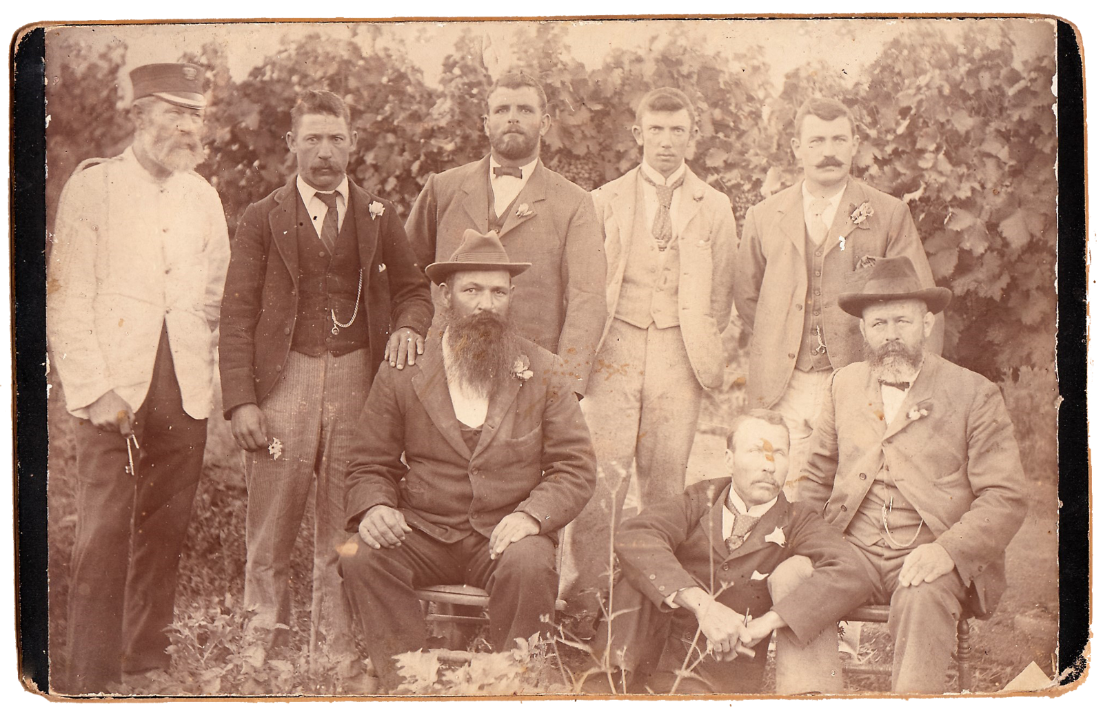 POWs 1902